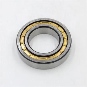 Cylindrical Roller Bearings Nu20/560ecma Nu12/560mA Nu22/560ecma Nu28/600ecma Nu19/600ecma/Ha1 Nup19/600ecma/Ha1 Nu29/600ecma/Hb1 Nu20/600ecma