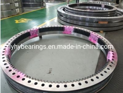 Excavator Bearing Slewing Ring Crane Bearings Slewing Bearings Gear Quenched Bearing (EX200-1)
