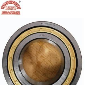Most Competitive Price Stable Quality Cylinder Roller Bearing (NF224EM)