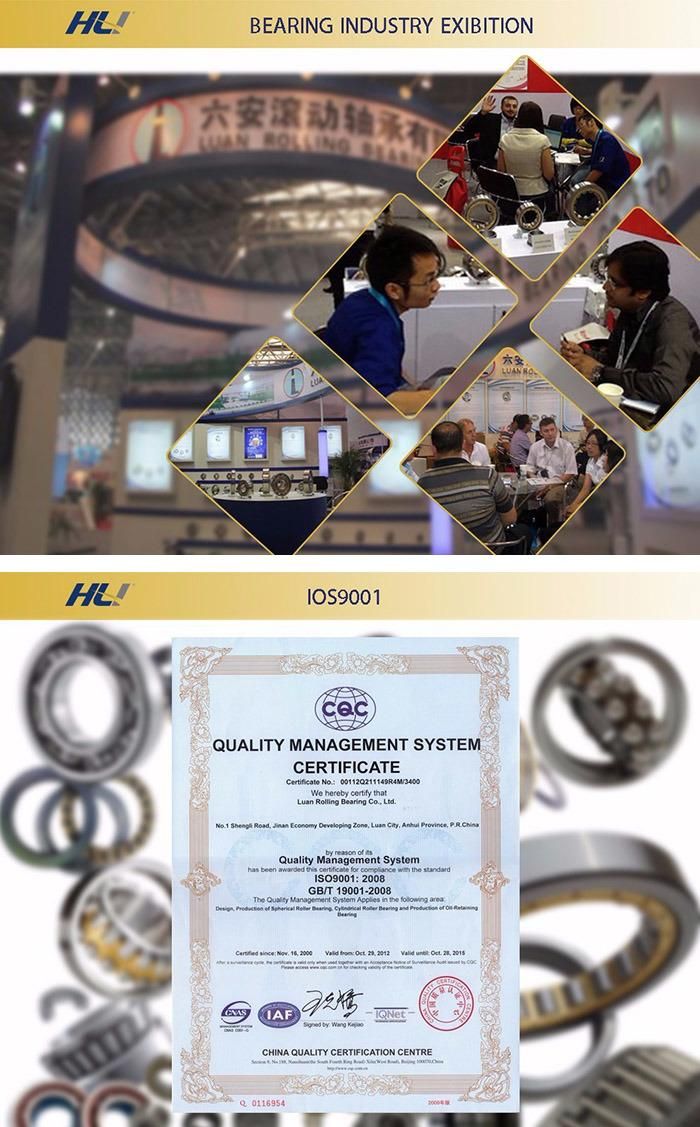 High Radial Loads Sealed Cylindrical Roller Bearing for Traction Motors