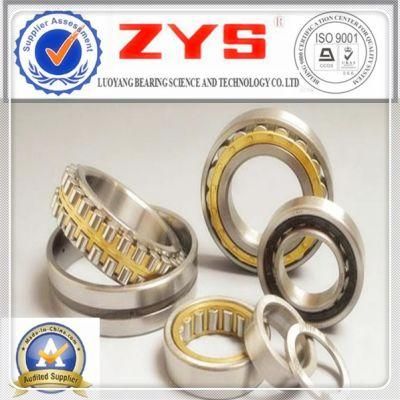 Zys Long Life Low Price Cylindrical Roller Bearings N1019k Nn3019k