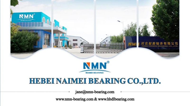 6001 6002 6003 6004 High Speed Low Noise Single Row Deep Groove Ball Bearing for Electric Motorcycle Bearing Tricycle