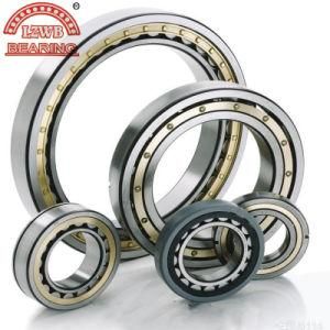 Professional Manufacturing Cylinder Roller Bearing