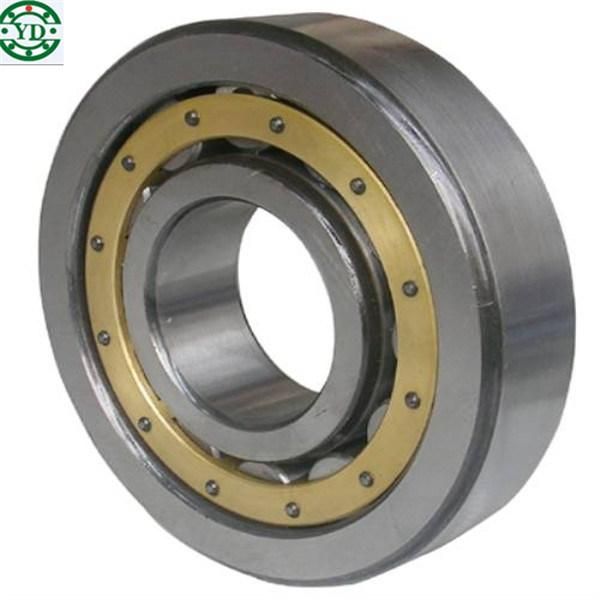 NSK Bearing Nj312 Cylindrical Roller Bearings