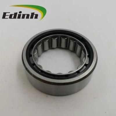 Short Cylindrical Roller Bearing R1563tav