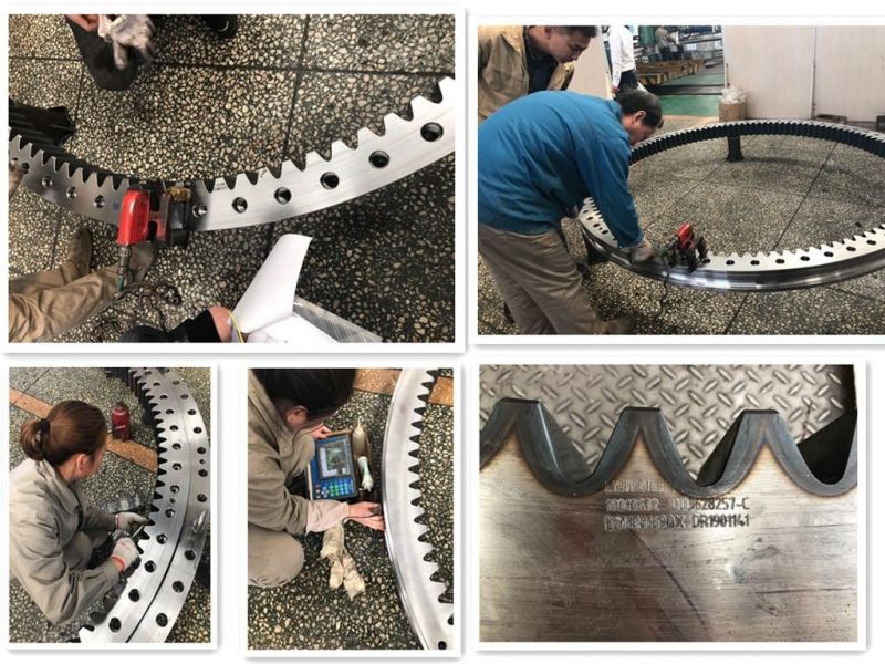 Internal Gear Slewing Ring Bearing for Canning and Bottling Machines