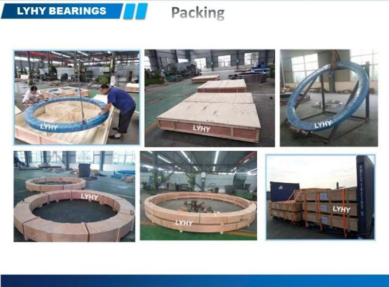Supply Large-Diameter Slewing Ring Bearings with Internal Gear (02-3074-01)