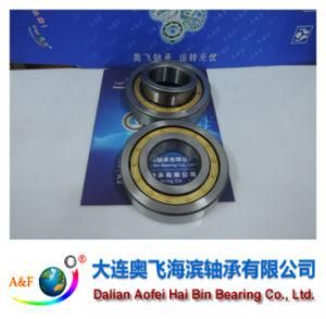A&F Bearing/ Cylindrical Roller Bearing NJ321M