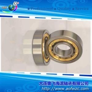 Cylindrical Roller Bearings Bearing NU311M Roller Bearings