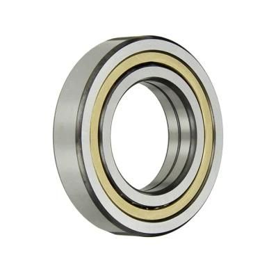 (Angular Contact/Thrust/taper roller/Self-Aligning/Flanged/Inch/Stainless steel) Ball Bearings for Printing Machine, Auto Parts, Pump, Spare Parts