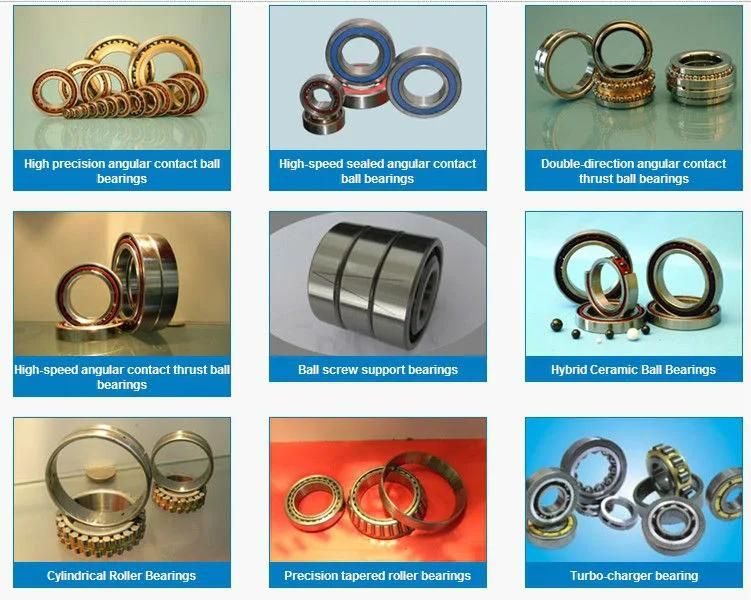 Luoyang Zys High Quality Large Size Deep Groove Ball Bearing Price 61920