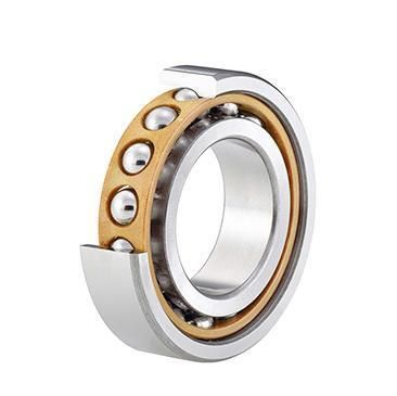 Double-Row Angular Contact Ball Bearing with Double Lnner Rings 4960X3dm