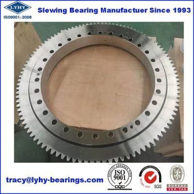 Slewing Ring Bearing Ball Bearing Gear Bearing (RKS. 212140106001)