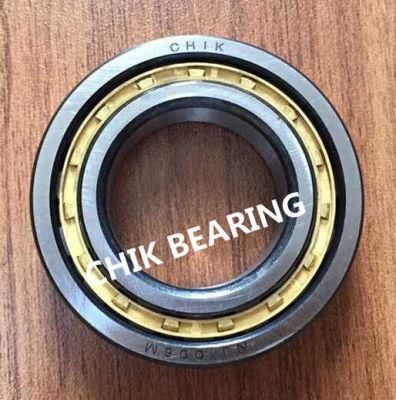 High Precision Double Row Cylindrical Roller Bearings for Machines Nj1006
