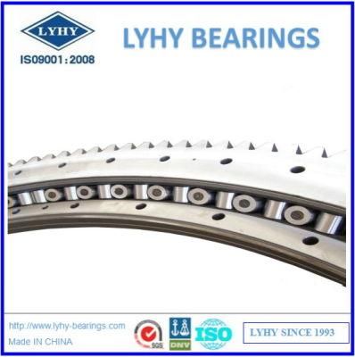 OEM Turntable Bearings V25e248 Swing Bearing with External Gear Teeth