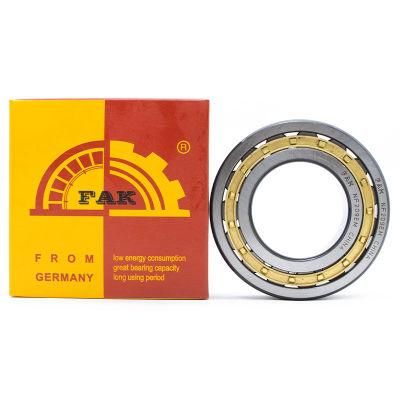 Fak N321 Cylindrical Roller Bearings with Steel Cage