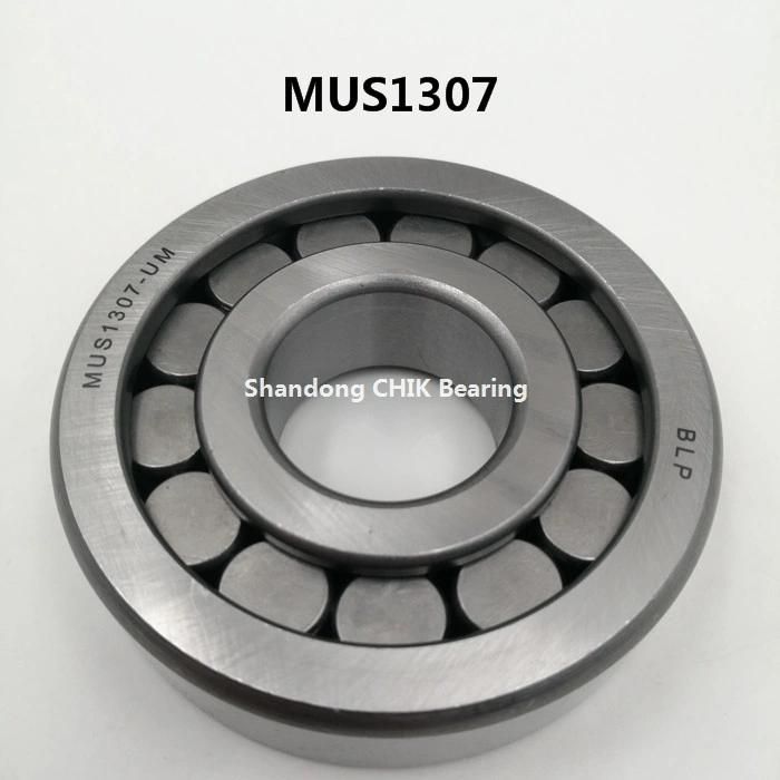NUP308X NUP309ENV High Speed and Low Noise Cylindrical Roller Bearing