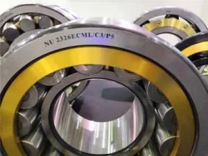 High Performance Nu 206 Ecp Bearing for Vibrating Screen