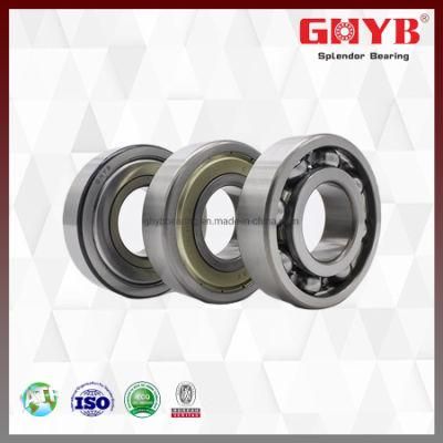 Made in China Customized NSK NACHI Deep Groove Ball Bearing for Auto Parts Gearbox 6200 6300