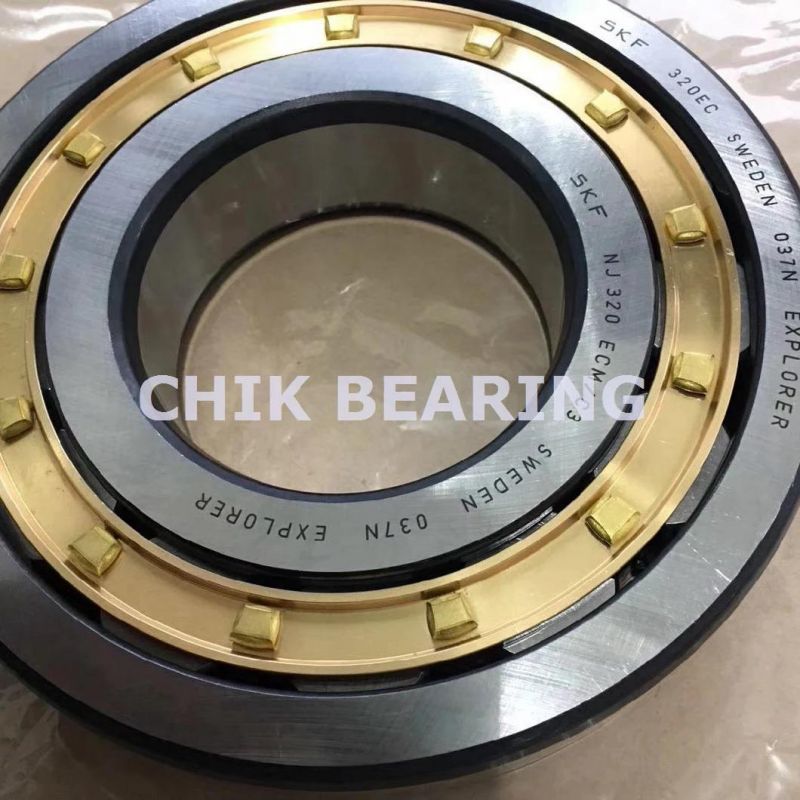 High Load Capacity Single Row Cylindrical Roller Bearings (NJ1013)