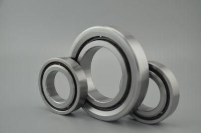 Zys Ball Screw Precision Bearing Angular Contact Ball Bearings 760202tn1/P2dbb for Auto Parts