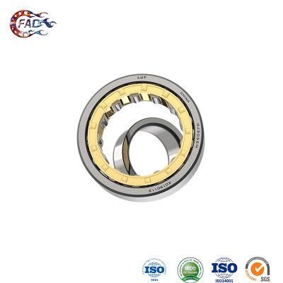 Xinhuo Bearing China Needle Roller Bearing ODM 6003 Zz Bearing Nu1016m Four Row Cylindrical Roller Bearings