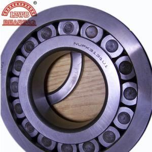 Most Competitive Price Stable Qaulity Cylinder Roller Bearing (NUPK313)
