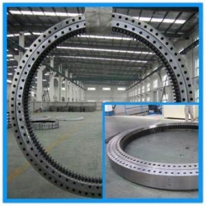 Slewing Ring Bearing (XI120288)