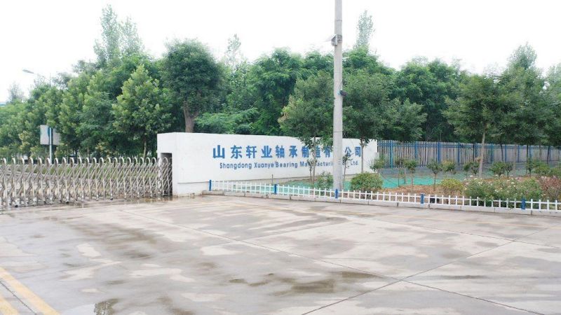 Taper Roller Deep Groove Ball Spherical Roller Auto Cylindrical Needle Angular Contact Bearing for NTN NACHI Koyo IKO Timken NSK