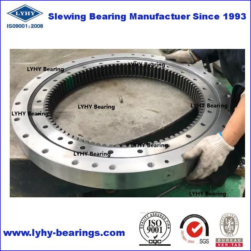 Single Row Ball Slewing Bearing Slewing Ring Bearings Turntable Bearings with Internal Gear VI095A01