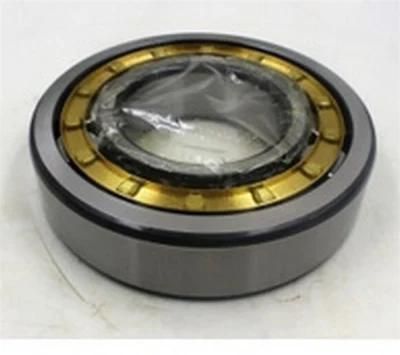 Nj1007 Cylindrical Roller Bearing for Industrial Machines