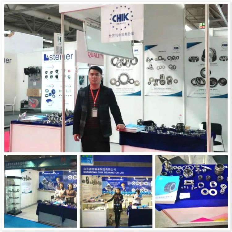 Spherical Plain Bearing Ge30xs/K Ge35xs/K Ge40xs/K Ge45xs/K Ge50xs/K Ge55xs/K Ge60xs/K Ge65xs/K Ge70xs/K