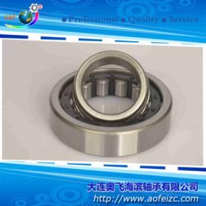 NJ315E Cylindrical Roller Bearings Used for Locomotives with High Performence
