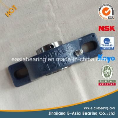 Asahi Fyh NTN NSK Brand Name Pillow Block Bearing Sizes