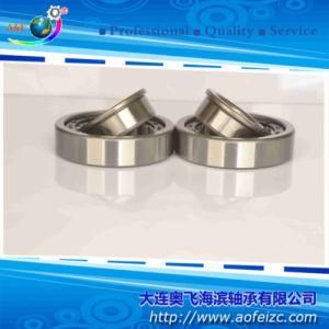 A&F Cylindrical Roller Bearing (NJ307E) with Long Using Life