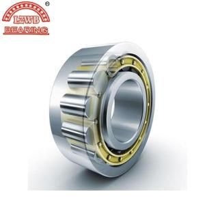 Auto Spare Part of Cylindrical Roller Bearing (NJ 2220 EM)