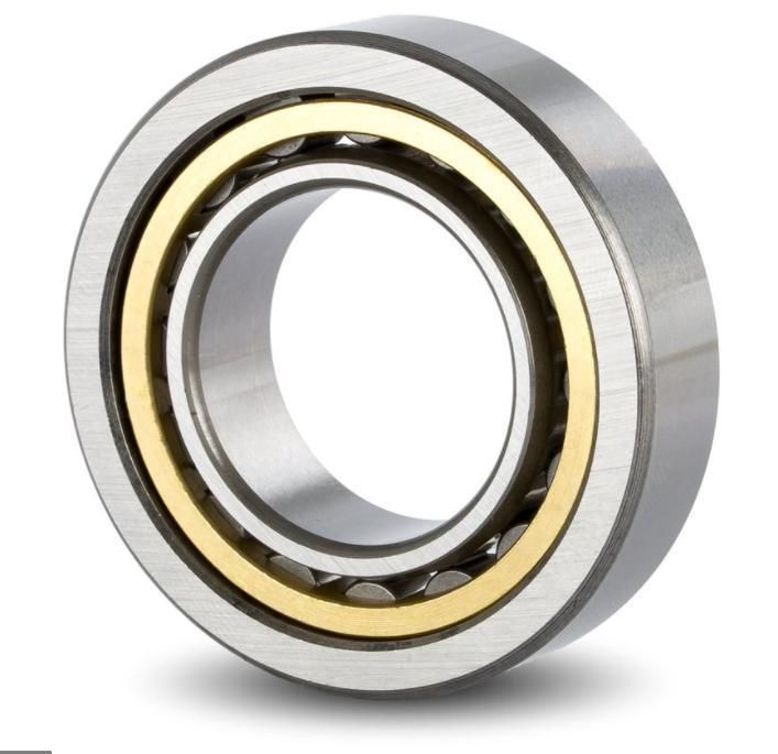 Cylindrical Roller Bearing Nup307 Cement Mixer PMP9y