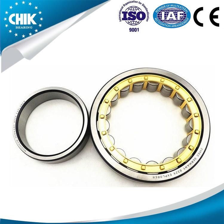China Supplier High Precision Bearing Cylindrical Roller Bearings Nu1013 E Chrome Steel