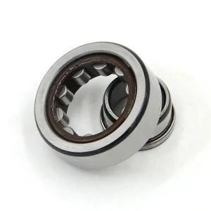 Cylindrical Roller Bearings Nup305ecml Nj2305ecp Nu2305ecj Nu2305ecp Nup2305ecp Nj2305ecml Nu2305ecml Nup2305ecml