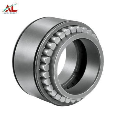 Double Row Cylindrical Roller Bearing
