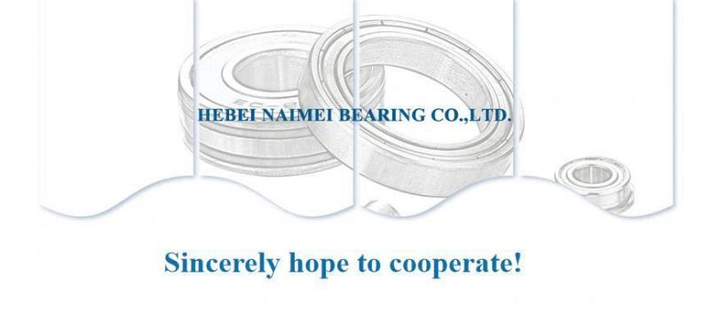 China Brand Deep Groove Ball Bearings 6205zz 6205 2RS