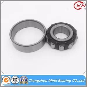 China Factory Cylindrical Roller Bearing with High Percision