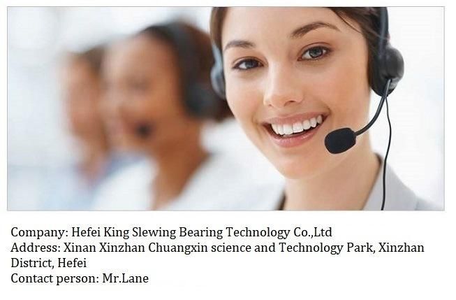 Excavator Slewing Ring Bearing Replacement K904c
