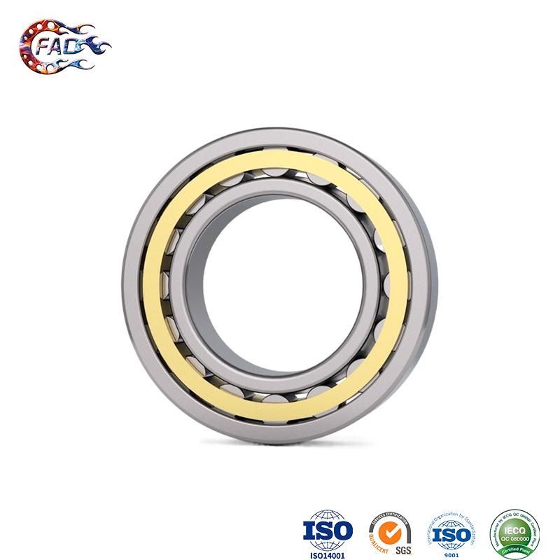 Xinhuo Bearing China Carrier Bearing Manufacturers 6203dw Sealed Bearing N210e N Type Cylindrical Roller Bearing