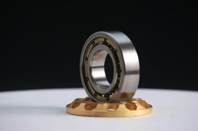 Zys OEM Deep Groove Ball Bearing 6204 2RS C3 Z1V1 Z2V2 Z3V3 with ISO Certification