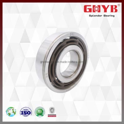 6003 6203 6204 6206 2RS 2rz NSK NTN High Precision Chrome Steel Auto Metric Size Deep Groove Ball Bearing