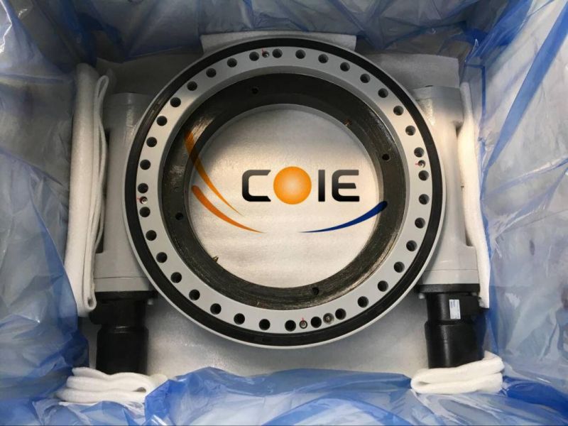 Dual Worm Slewing Drive Turntable Slewing Ring for Rotation Equipment