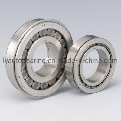 Cylindrical Roller Bearing (42144/NJ1044)