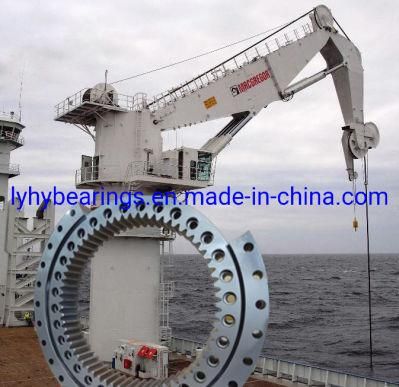 Roller Bearing Slewing Ring Bearings Gear Bearing Turntable Bearing (HJW. 45.1540)