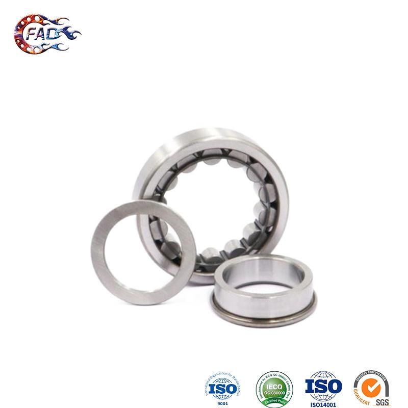 Xinhuo Bearing China Rod End Bearing Manufacturer Cart Wheel Bearings N238e Double Cylindrical Roller Bearing